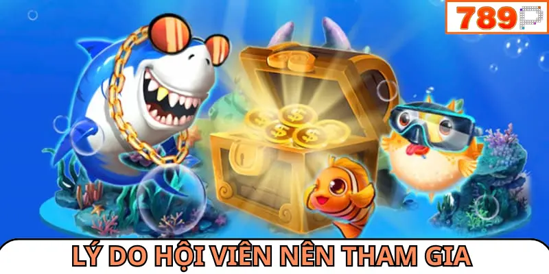 Lý do hội viên nên chọn tham gia tại trang web